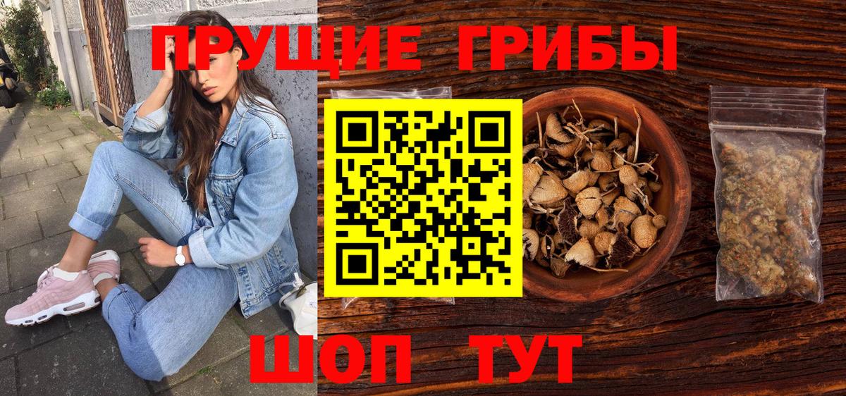 Галлюциногенные грибы Cubensis  Галлюциногенные грибы мицелий  Вход с VPN  Чехов 